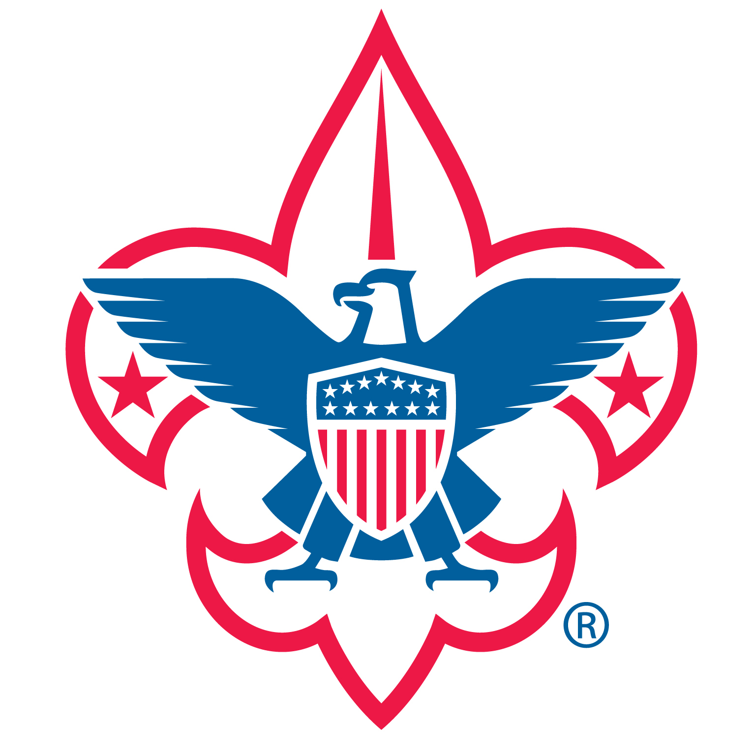 Fleur de Lis BSA Logo